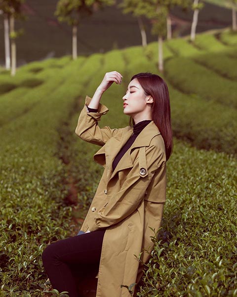 hoa-hau-mac-vay-bo-sat