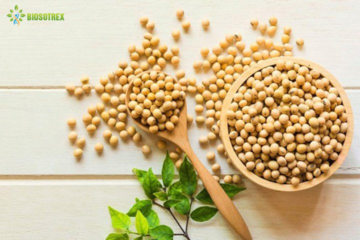 GIẢI MÃ 6 VỊ TRÍ MỤN THƯỜNG XUẤT HIỆN Ở MẶT VÀ LỜI KHUYÊN CỦA CÁC CHUYÊN GIA